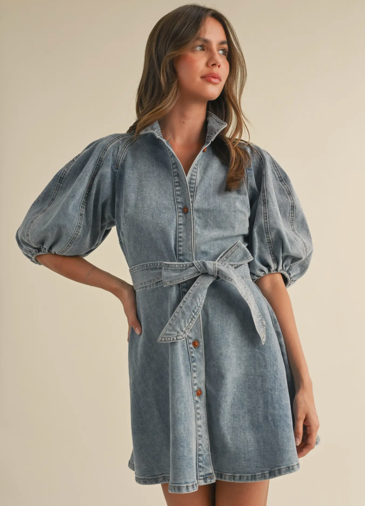 Denim Bow Fit + Flare Dress