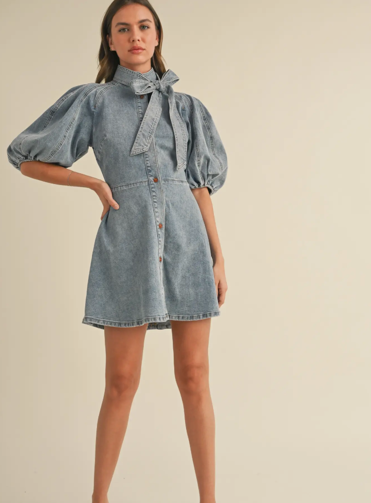 Denim Bow Fit + Flare Dress
