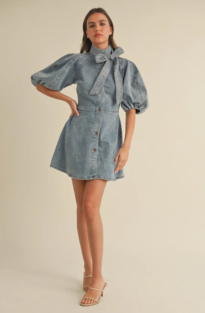 Denim Bow Fit + Flare Dress