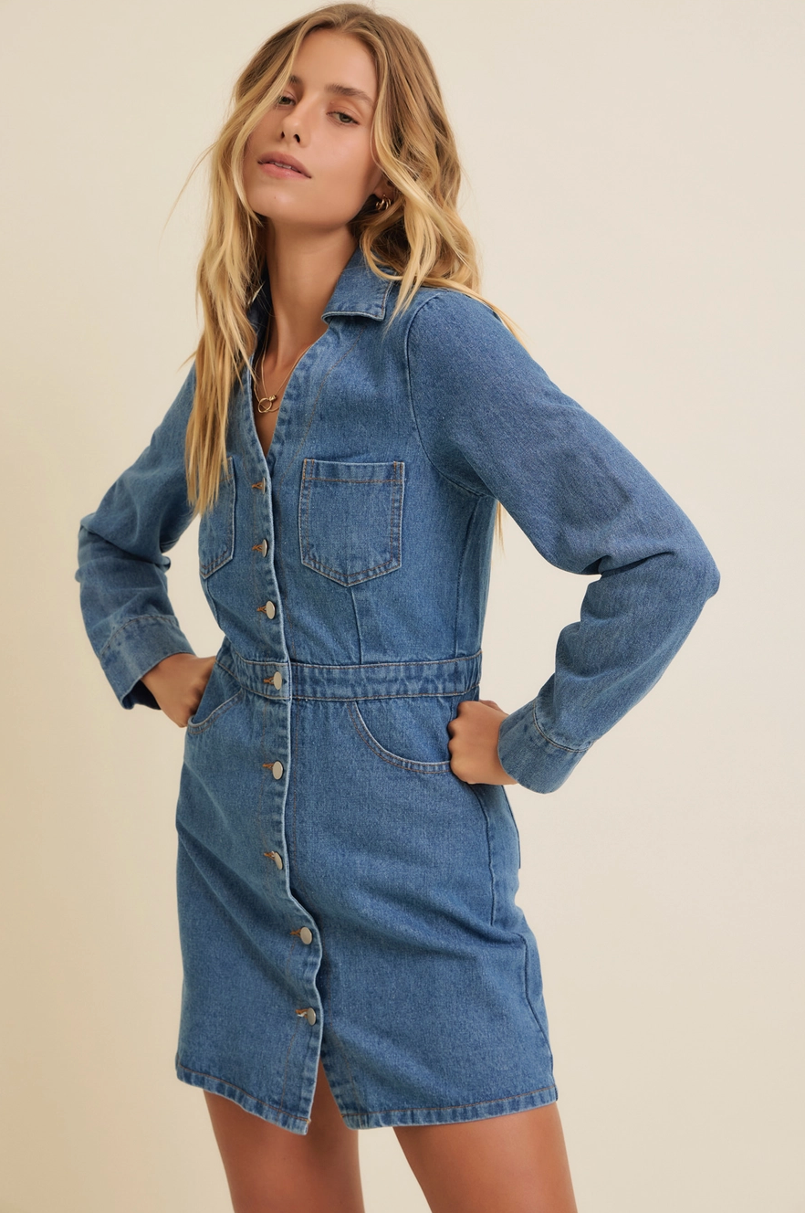 Mini Denim Dream