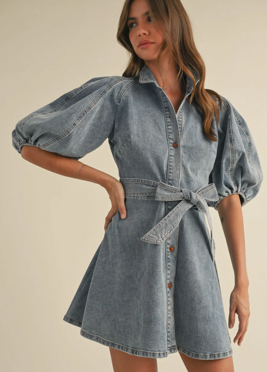 Denim Bow Fit + Flare Dress
