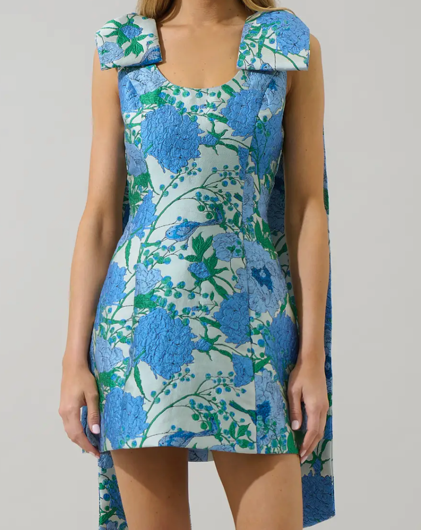 Bluebell Manor Jacquard Dress