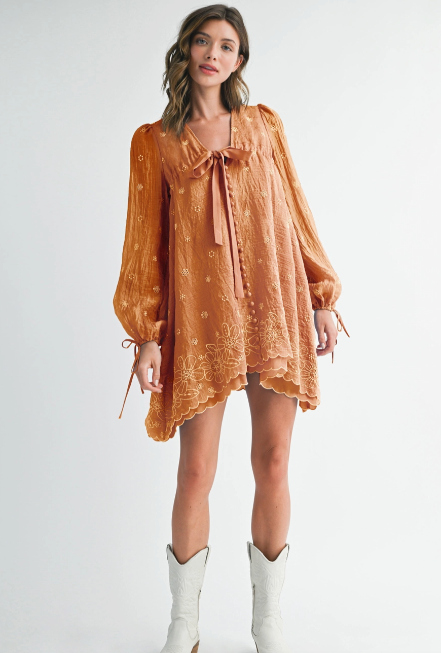 Carmel Embroidered Long Sleeve Mini Dress
